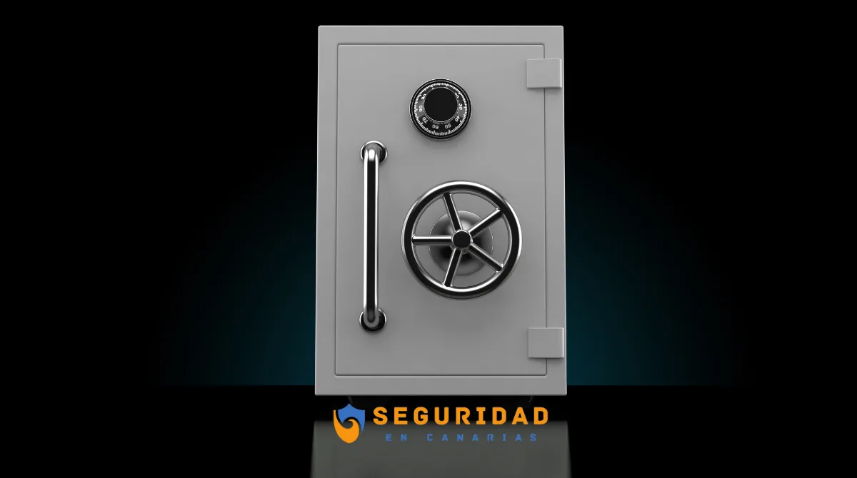 seguridad en canarias
